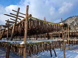 황인근님의 작성글 사진