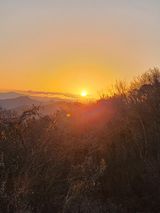 팜모닝 2025년 새해 일출 보셨나요?·참여글 게시글 이미지