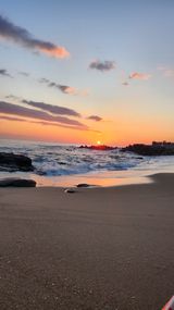 팜모닝 2025년 새해 일출 보셨나요?·참여글 게시글 이미지