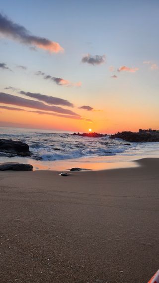 김진왕님의 2025년 새해 일출 보셨나요? · 참여글 작성글 사진