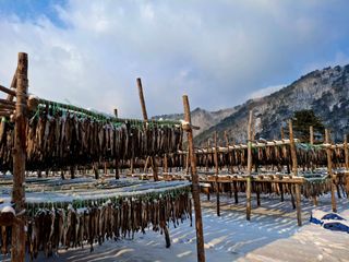 황인근님의 작성글 사진