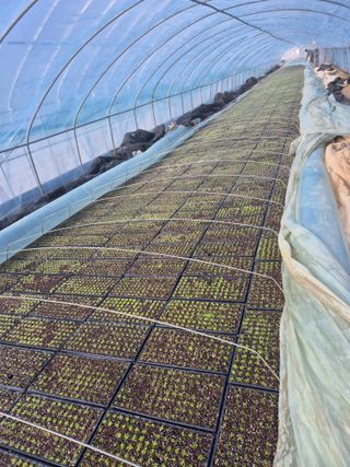 병풍취산채농원님의 자유주제 · 자유게시판 작성글 사진