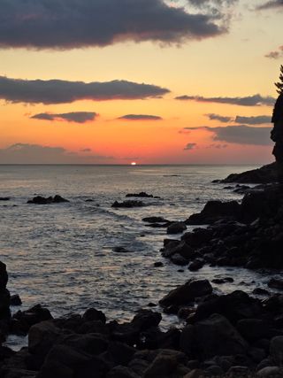 하늘내린양골농원님의 2025년 새해 일출 보셨나요? · 참여글 작성글 사진