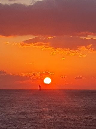 김옥자님의 2025년 새해 일출 보셨나요? · 참여글 작성글 사진