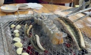 MSG0074님의 자유주제 · 자유게시판 작성글 사진