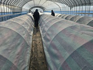 박수열님의 자유주제 · 자유게시판 작성글 사진