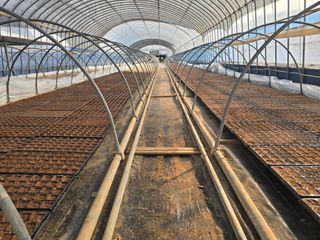 박수열님의 자유주제 · 자유게시판 작성글 사진