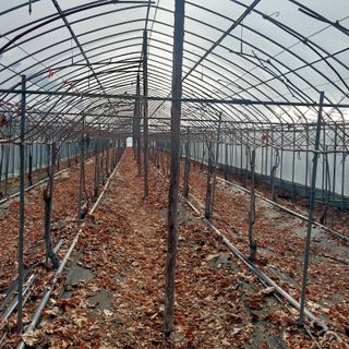 이경주님의 자유주제 · 자유게시판 작성글 사진