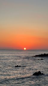 팜모닝 2025년 새해 일출 보셨나요?·참여글 게시글 이미지