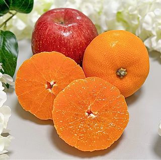 농부손녀님의 작성글 사진