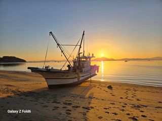 빛내림님의 2025년 새해 일출 보셨나요? · 참여글 작성글 사진