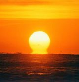 팜모닝 2025년 새해 일출 보셨나요?·참여글 게시글 이미지