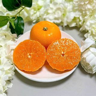 농부손녀님의 작성글 사진