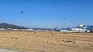 _귀촌예정님의 자유주제 · 자유게시판 작성글 사진