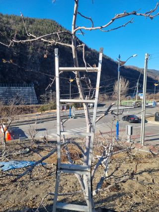 김용대님의 자유주제 · 자유게시판 작성글 사진