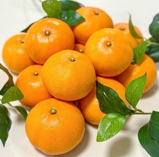 농부손녀님의 작성글 사진