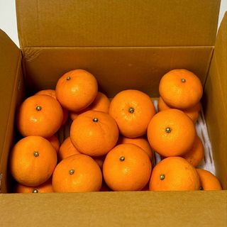 농부손녀님의 작성글 사진