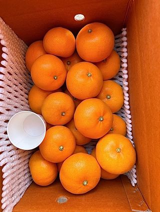 농부손녀님의 작성글 사진