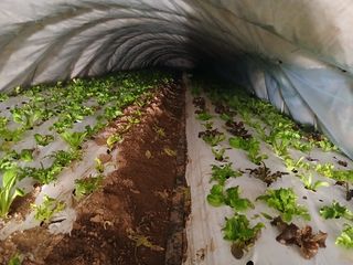 김성식님의 자유주제 · 자유게시판 작성글 사진