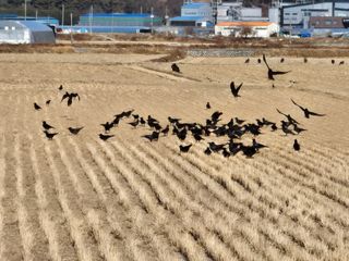 _귀촌예정님의 자유주제 · 자유게시판 작성글 사진