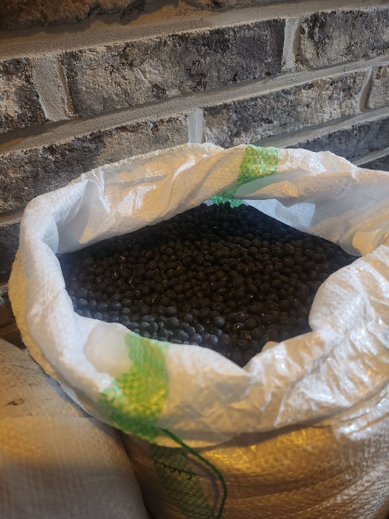 작은뜰 농원님의 장터 판매 상품 [서리태 토종 넙죽이 1kg] 첨부 사진