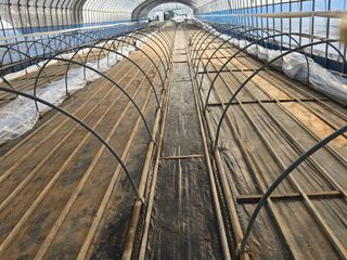 박수열님의 자유주제 · 자유게시판 작성글 사진