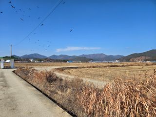 _귀촌예정님의 자유주제 · 자유게시판 작성글 사진