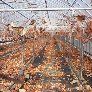 이경주님의 자유주제 · 자유게시판 작성글 사진