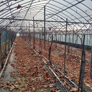 이경주님의 자유주제 · 자유게시판 작성글 사진