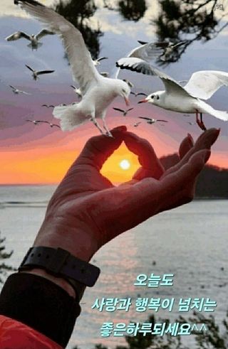 전복수님의 2025년 새해 일출 보셨나요? · 참여글 작성글 사진