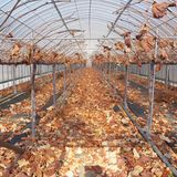 팜모닝 자유주제·자유게시판 게시글 이미지