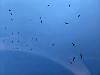 _귀촌예정님의 자유주제 · 자유게시판 작성글 사진