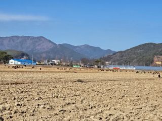 _귀촌예정님의 자유주제 · 자유게시판 작성글 사진