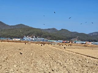 _귀촌예정님의 자유주제 · 자유게시판 작성글 사진