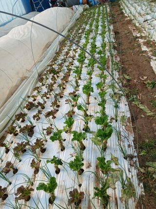 김성식님의 자유주제 · 자유게시판 작성글 사진