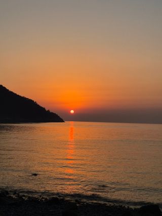 이문규님의 2025년 새해 일출 보셨나요? · 참여글 작성글 사진