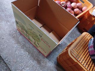 알 수 없음님의 자유주제 · 자유게시판 작성글 사진