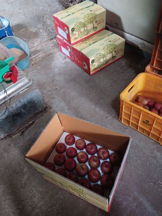 알 수 없음님의 자유주제 · 자유게시판 작성글 사진