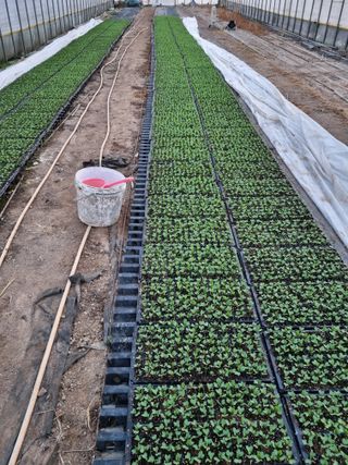 차재경님의 자유주제 · 자유게시판 작성글 사진