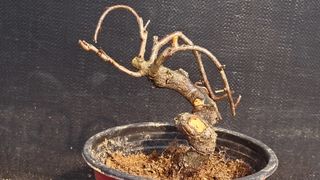 이정운님의 자유주제 · 자유게시판 작성글 사진