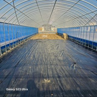 박용열조물주님 님의 자유주제 · 자유게시판 작성글 사진