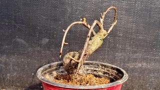 이정운님의 자유주제 · 자유게시판 작성글 사진