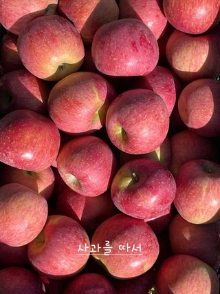 조순자님의 작성글 사진