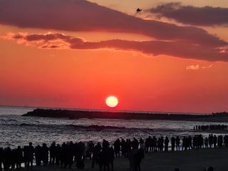 보람농장님의 2025년 새해 일출 보셨나요? · 참여글 작성글 사진