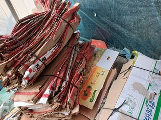 알 수 없음님의 자유주제 · 자유게시판 작성글 사진