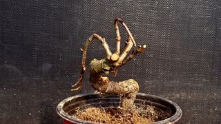 이정운님의 자유주제 · 자유게시판 작성글 사진