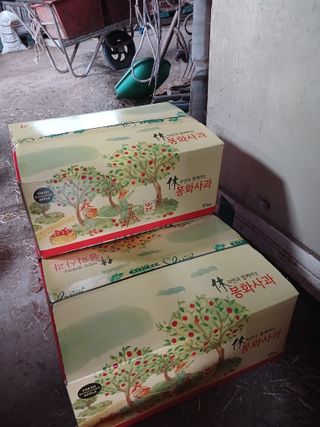 알 수 없음님의 자유주제 · 자유게시판 작성글 사진