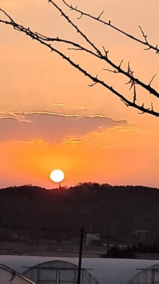 bpjh9173님의 2025년 새해 일출 보셨나요? · 참여글 작성글 사진