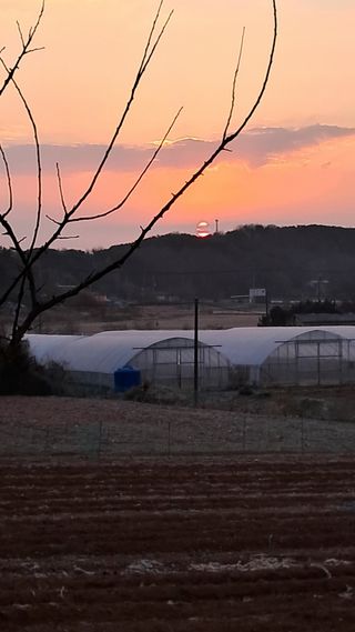 bpjh9173님의 2025년 새해 일출 보셨나요? · 참여글 작성글 사진