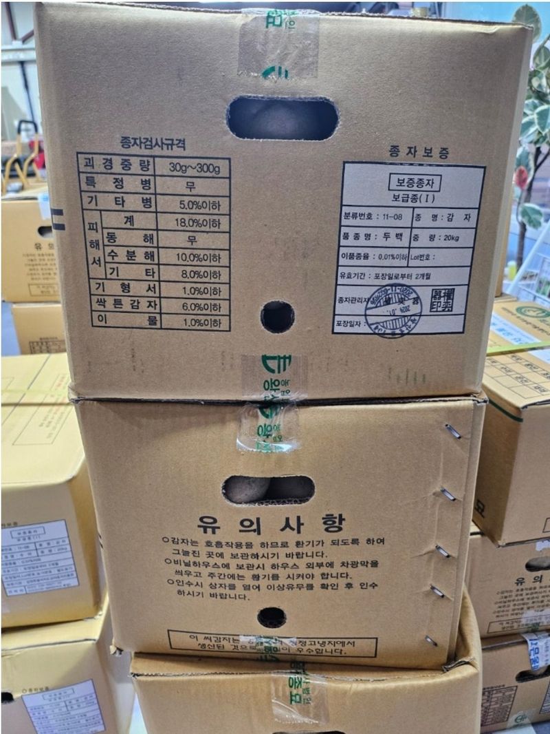 장터 상품 [왕산종묘 홍 씨감자  3kg] 썸네일